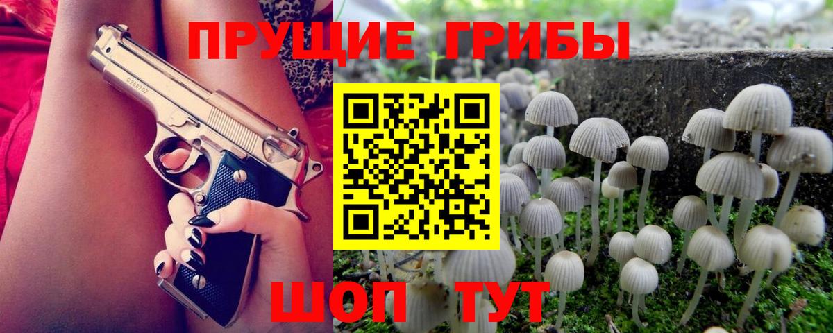Сочи  Псилоцибиновые грибы MAGIC MUSHROOMS  Вход с VPN 