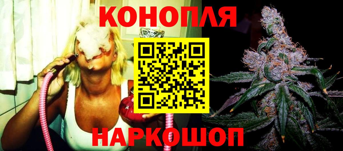Каннабис сатива Сочи
